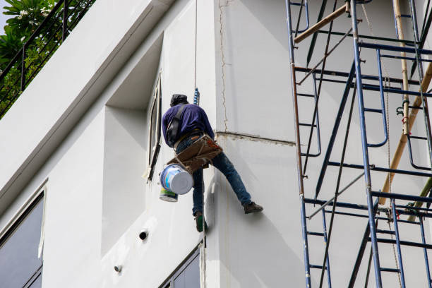 How to Choose the Right Contractor for Your Customized Painting Solutions in Tacoma