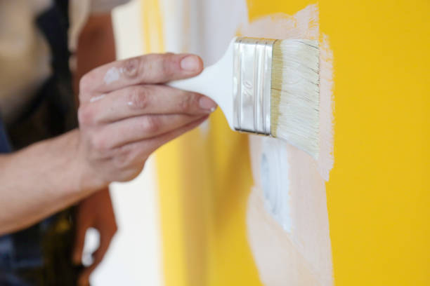 Discover How Our Customized Painting Solutions Can Transform Your Tacoma Home